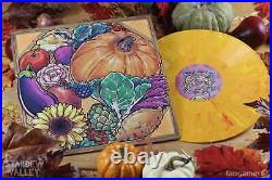 Stardew Valley Complete OST VGM Vinyl Soundtrack Box Set Colored Record 4x LP